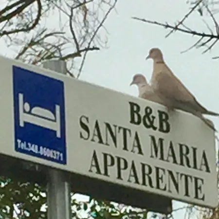 Monolocali Santa Maria Apparente 4* تْشيفيتانوفا ماركي